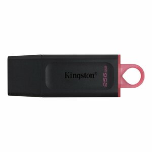 Kingston Technology DataTraveler Exodia USB flash drive 256 GB USB Type-A 3.2 Gen 1 (3.1 Gen 1) Zwart