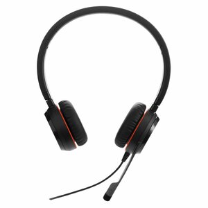 Jabra Evolve 20 Bedraade USB On-Ear Headset Stereo (Zwart)