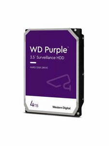 Seagate Purple Surveillance 4TB SATA III 3.5" - 5400RPM | Recertified