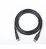 Gembird CC-DP2-6 DisplayPort kabel 1,8 m Zwart_