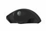 QWARE Wireless Mouse Luton Zwart_