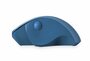 QWARE Wireless Mouse Luton Blauw_