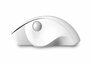 QWARE Wireless Mouse Luton Wit_