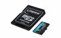 Kingston Technology Canvas Go! Plus 128 GB MicroSD UHS-I Klasse 10_