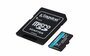 Kingston Technology Canvas Go! Plus flashgeheugen 64 GB MicroSD UHS-I Klasse 10_